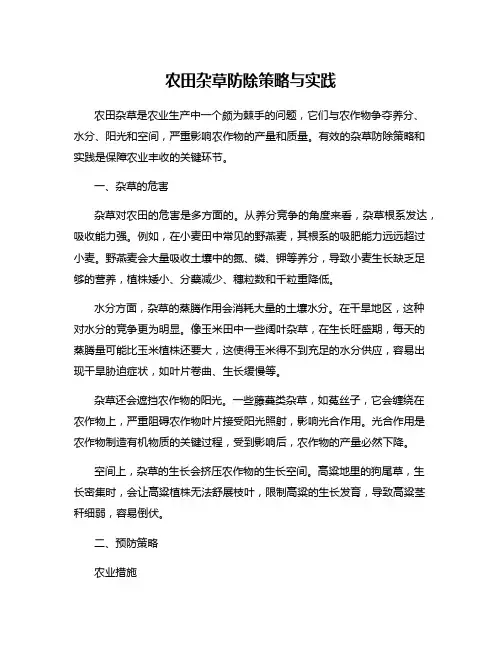 农田杂草防除策略与实践