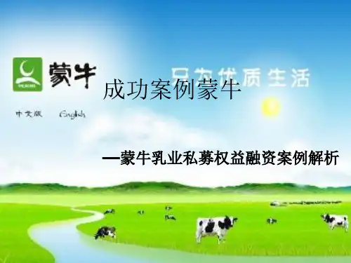融资案例分析