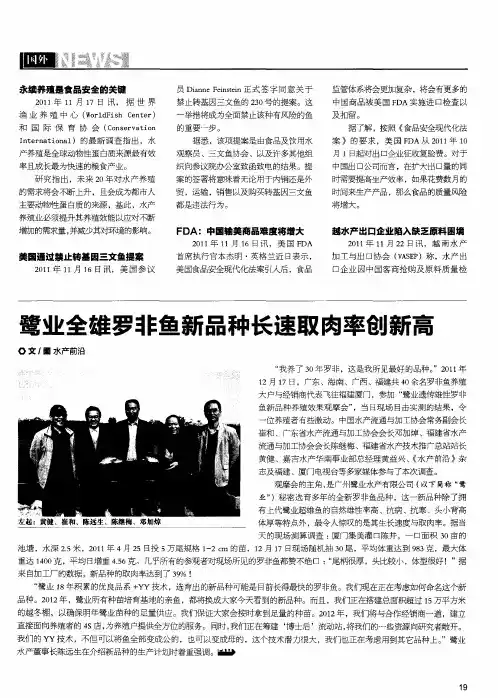 鹭业全雄罗非鱼新品种长速取肉率创新高