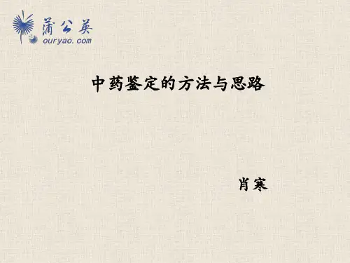 中药鉴定的方法与思路