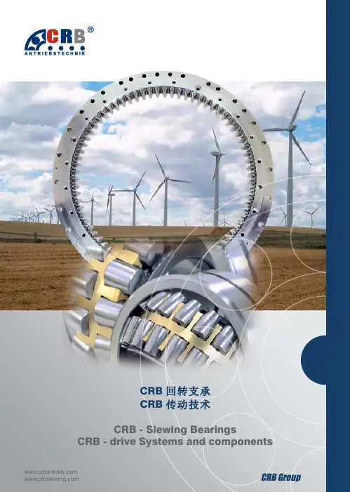 CRB - Slewing Bearings