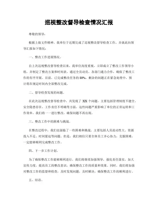 巡视整改督导检查情况汇报