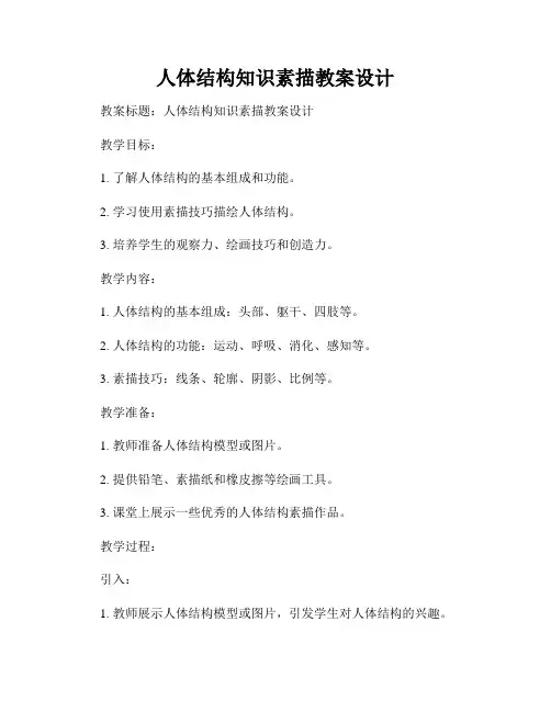 人体结构知识素描教案设计