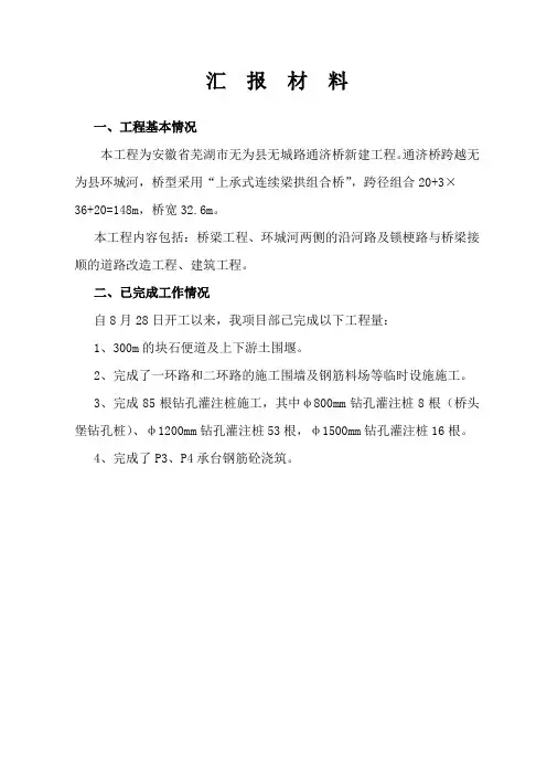 通济桥工程施工情况