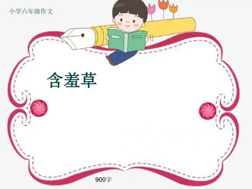 小学六年级作文《含羞草》900字(共11页PPT)
