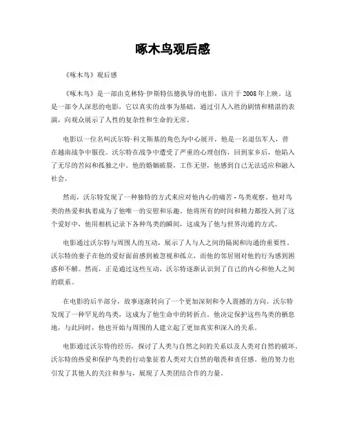 啄木鸟观后感
