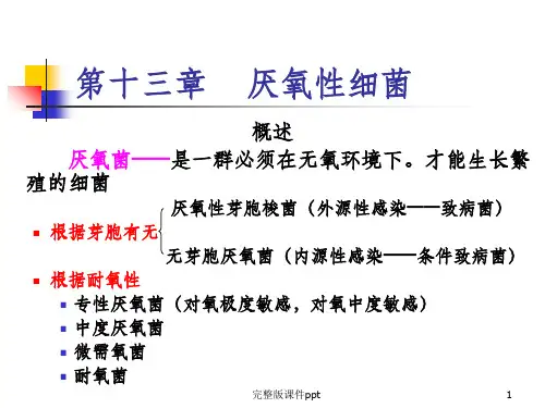 《微生物厌氧性细菌》PPT课件