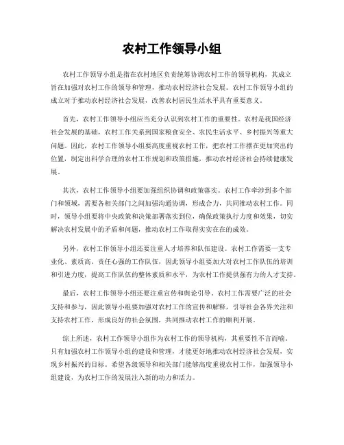 农村工作领导小组