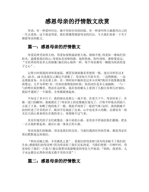 感恩母亲的抒情散文欣赏