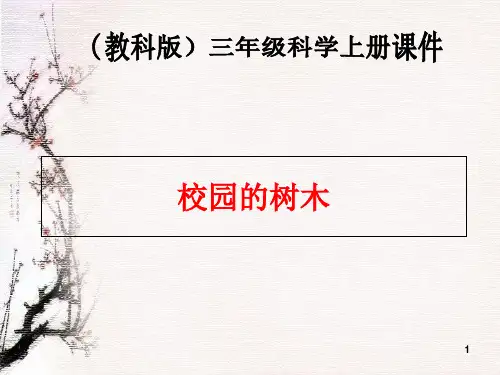教科版科学三上12《校园的树木》2PPT课件