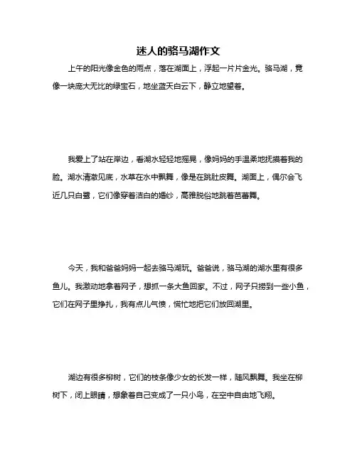迷人的骆马湖作文