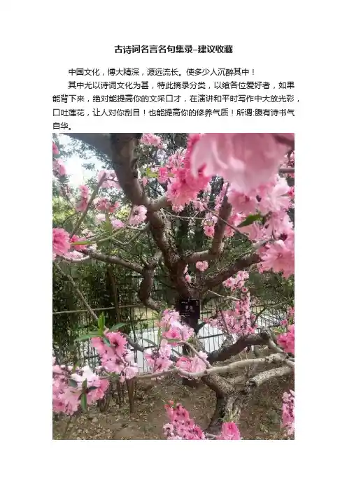 古诗词名言名句集录–建议收藏