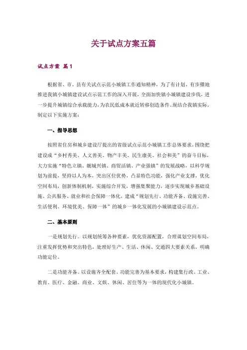 关于试点方案五篇