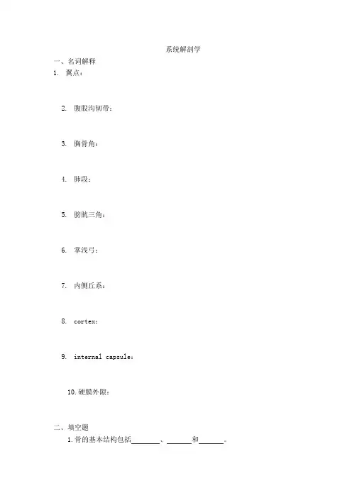 系统解剖学作业题