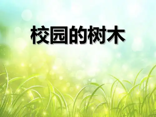 《校园的树木》植物PPT课件3
