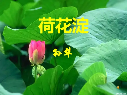 《 荷花淀》 2021-2022学年高中语文统编版选择性必修中册