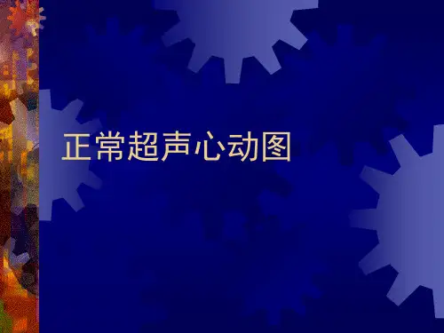 正常超声心动图ppt课件