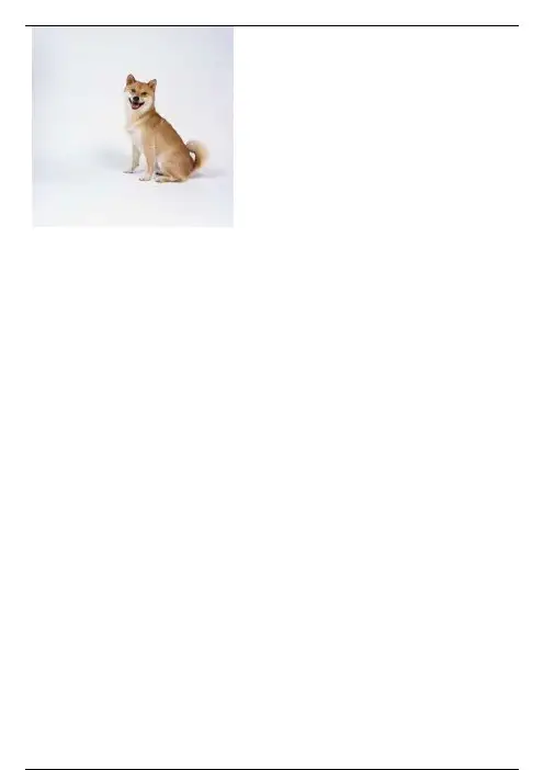 犬的各种疾病及有效的治疗方法