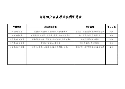 自评扣分点及原因分析汇总表