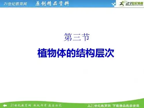 植物体的结构层次 (1)