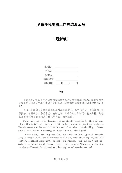 乡镇环境整治工作总结怎么写