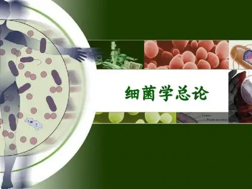 细菌学总论