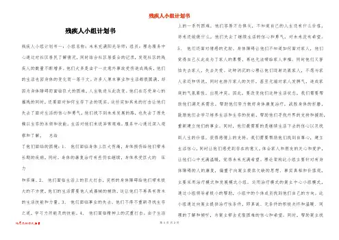 残疾人小组计划书