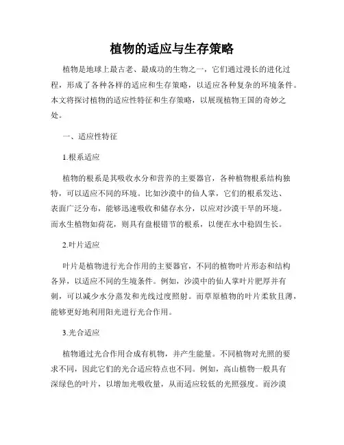 植物的适应与生存策略