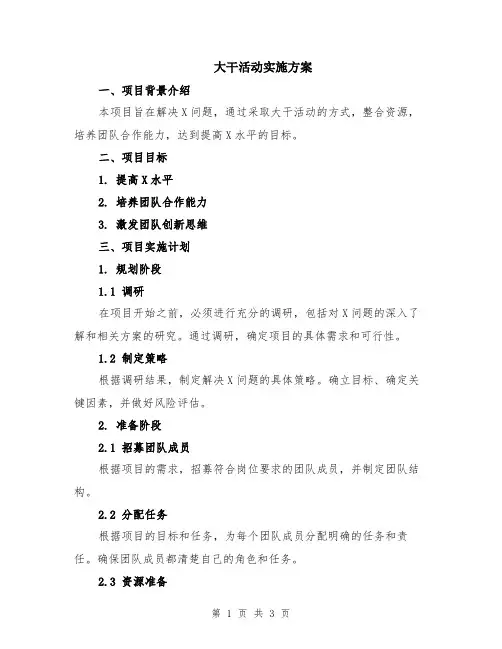 大干活动实施方案