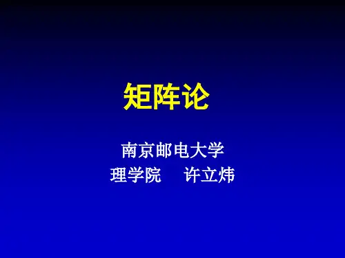 工程硕士矩阵论第一章