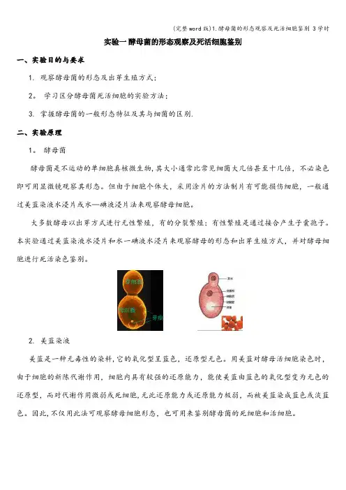 (完整word版)1.酵母菌的形态观察及死活细胞鉴别 3学时