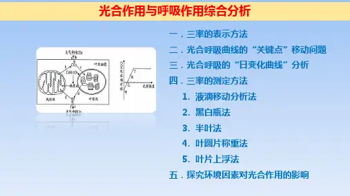 【课件】高三一轮复习生物：光合作用与呼吸作用的综合分析课件