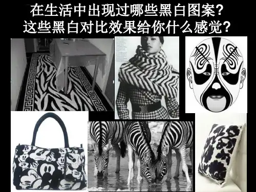 线描画中的黑白对比课件ppt