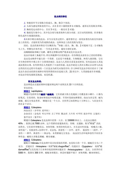 昆虫纲的特征(最新整理)