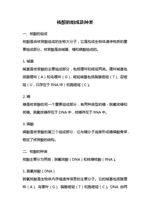 核酸的组成及种类