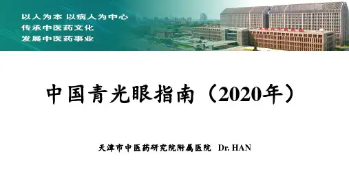 中国青光眼指南(2020年)