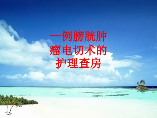 [课件]一例膀胱肿瘤电切术的护理查房PPT