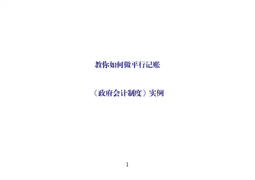 教你如何做平行记账(政府会计制度)-实例