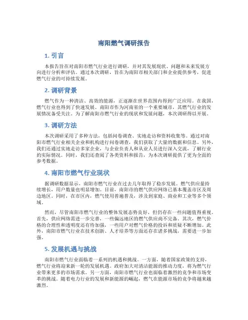 南阳燃气调研报告