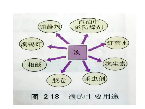 高一化学从海水中提取溴和碘.ppt