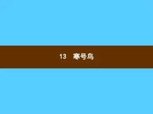 二年级上册语文习题课件-课文(四)13 寒号鸟 部编版(共13张PPT)