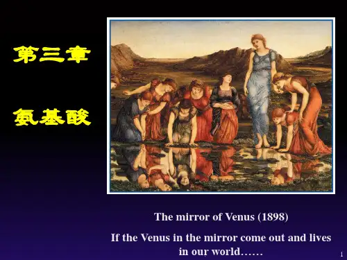 第3章-氨基酸的简介PPT课件