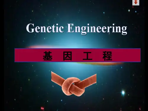 基因工程绪论