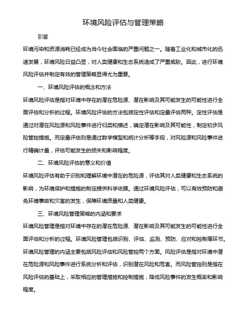 环境风险评估与管理策略