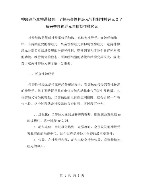神经调节生物课教案：了解兴奋性神经元与抑制性神经元2