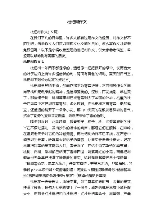 枇杷树作文（15篇）