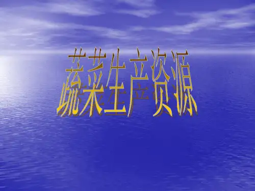蔬菜分类方法
