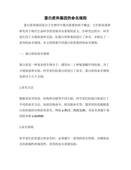 蛋白质和基因的命名规则