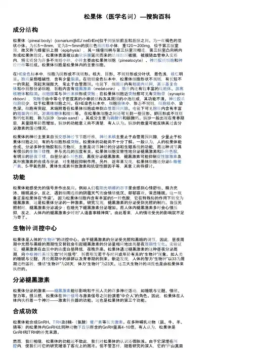 松果体（医学名词）—搜狗百科