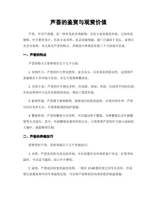 芦荟的鉴赏与观赏价值